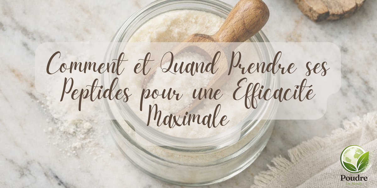 Comment et Quand Prendre ses Peptides pour une Efficacité Maximale