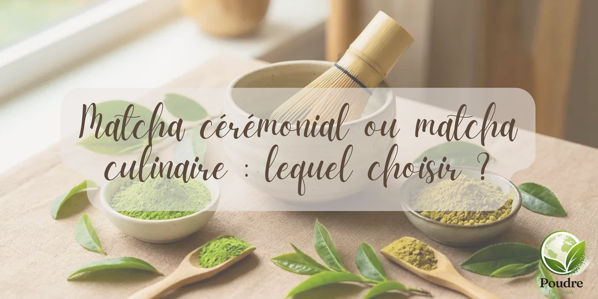 Matcha cérémonial ou matcha culinaire : lequel choisir ?