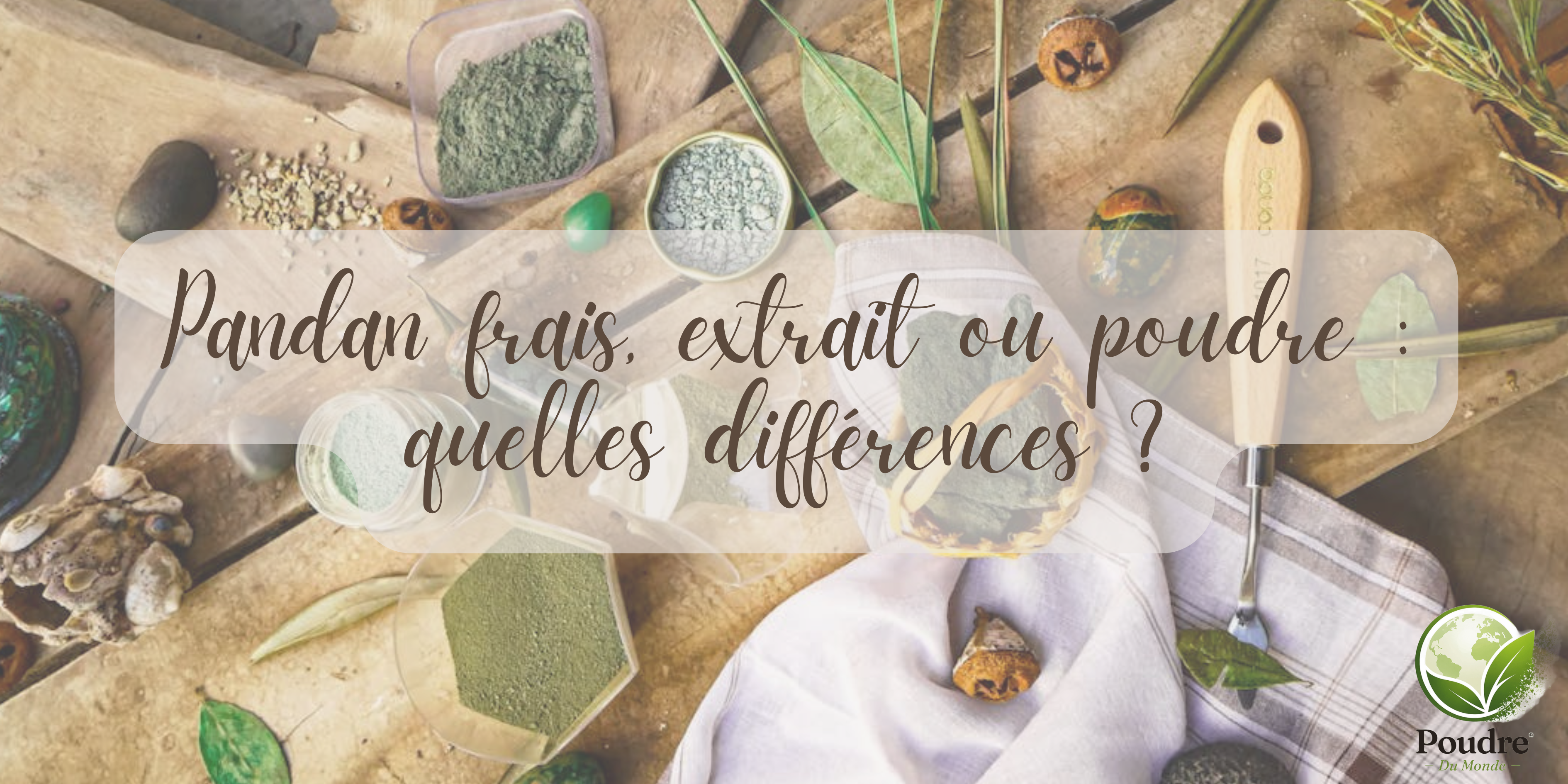 Pandan frais, extrait ou poudre : quelles différences ?