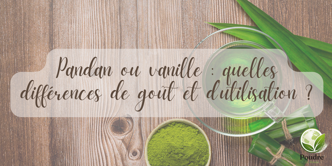 Pandan ou vanille : quelles différences de goût et d’utilisation ?