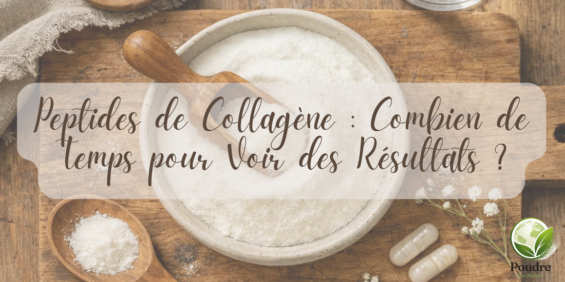 Peptides de Collagène : Combien de Temps pour Voir des Résultats ?