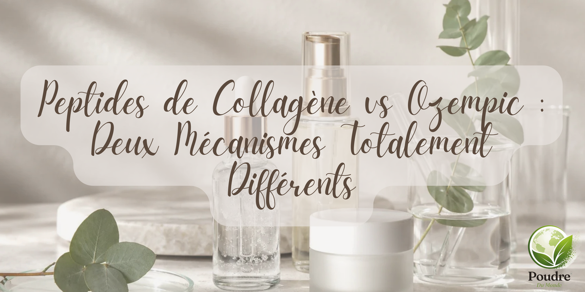 Peptides de Collagène vs Ozempic : Deux Mécanismes Totalement Différents