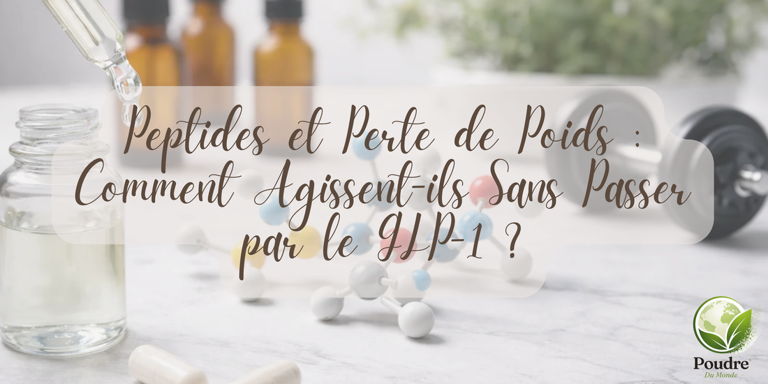 Peptides et Perte de Poids : Comment Agissent-ils Sans Passer par le GLP-1 ?