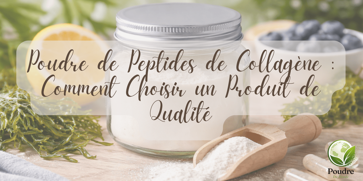 Poudre de Peptides de Collagène : Comment Choisir un Produit de Qualité