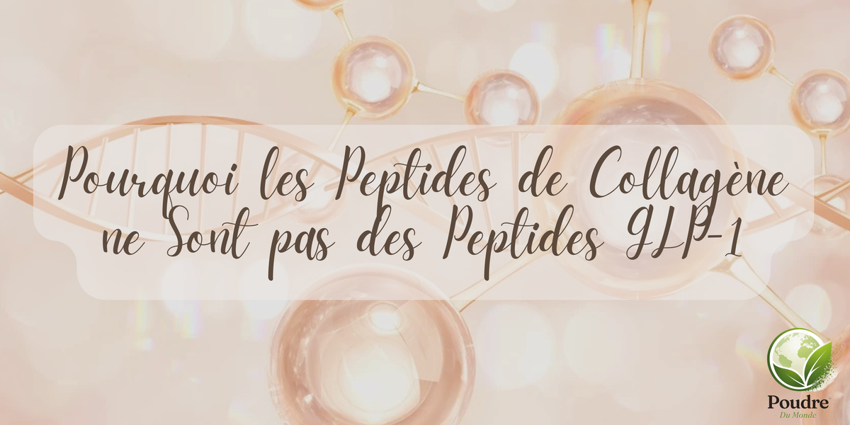Pourquoi les Peptides de Collagène ne Sont pas des Peptides GLP-1