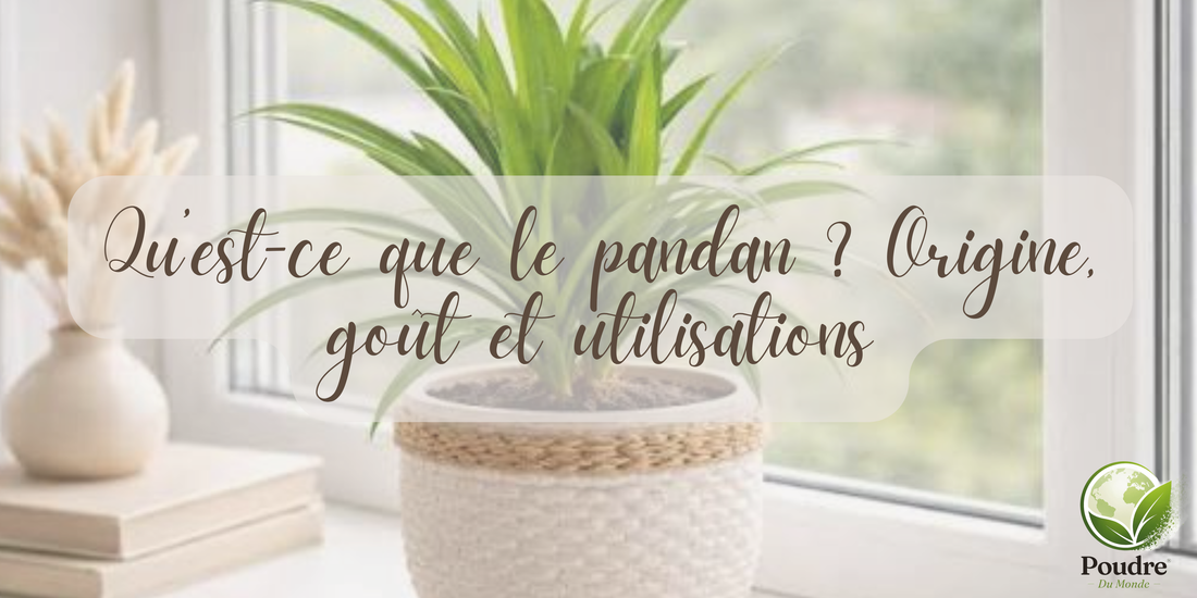 Qu’est-ce que le pandan ? Origine, goût et utilisations