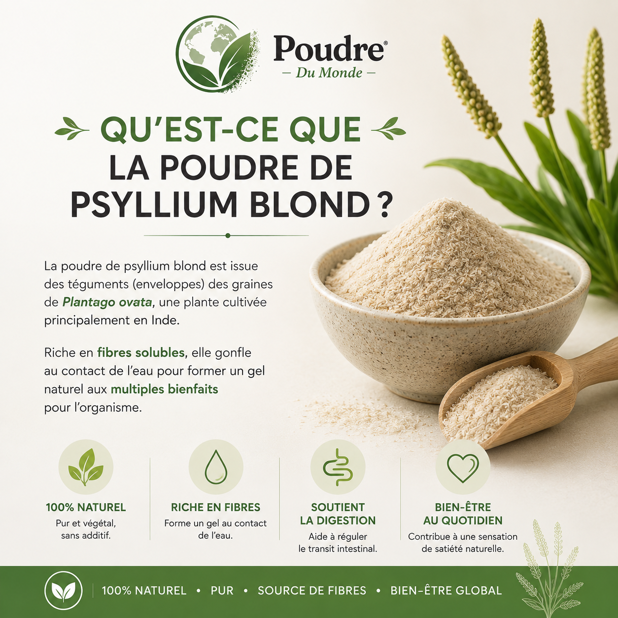 C_est quoi psyllium